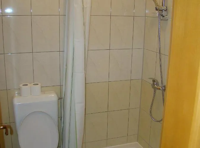 Guest house Pansion Ivan 2*